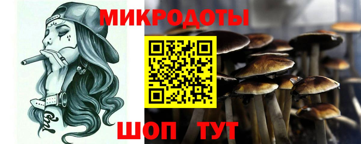 Галлюциногенные грибы мицелий  Вход с VPN  Междуреченск 